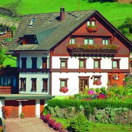 Gaestehaus Heimenberg Bad Rippoldsau-Schapbach Exteriér fotografie