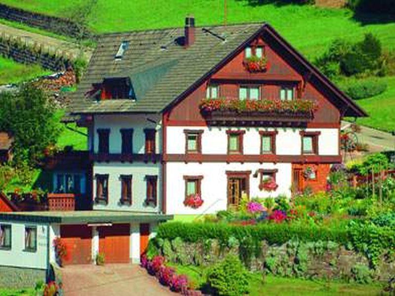 Gaestehaus Heimenberg Bad Rippoldsau-Schapbach Exteriér fotografie